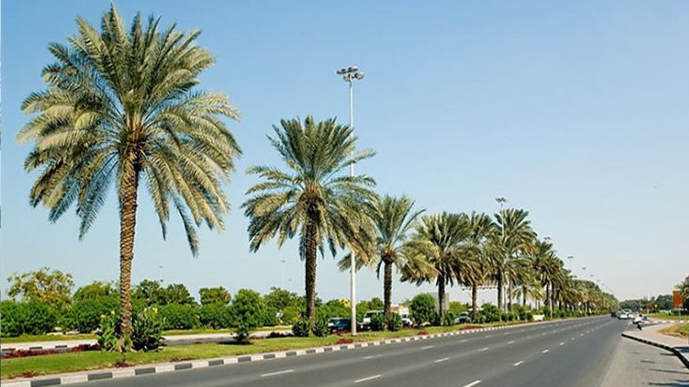Palm Beach Road